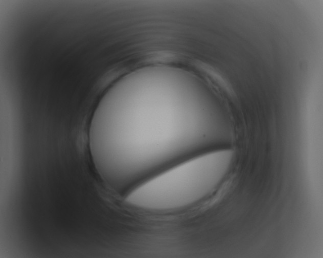 X0000101431073200807071000