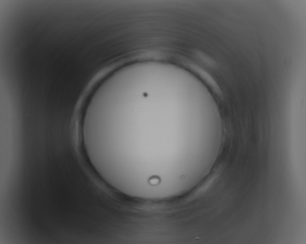 X0000101431075200807071000
