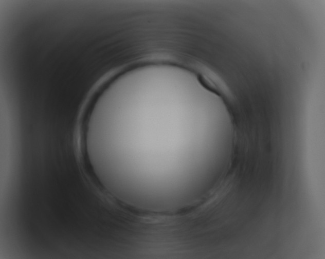 X0000101431076200807071000