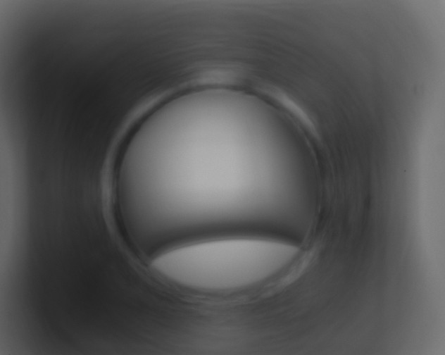X0000101431077200807071000