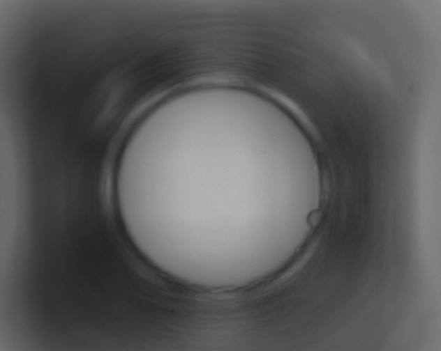 X0000101431078200807071000