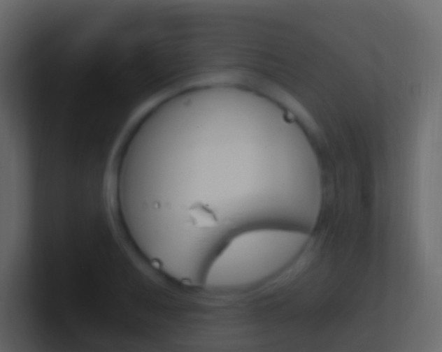 X0000101431079200807071000