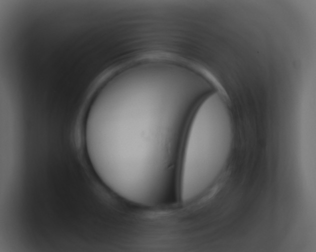 X0000101431082200807071000