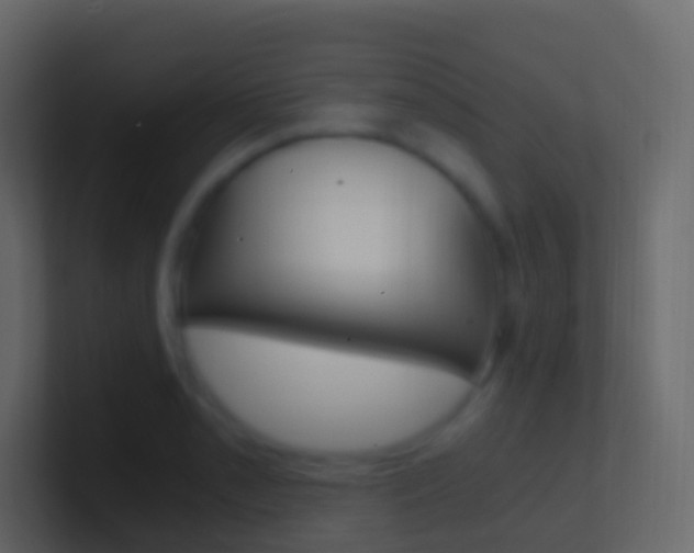 X0000101431085200807071000