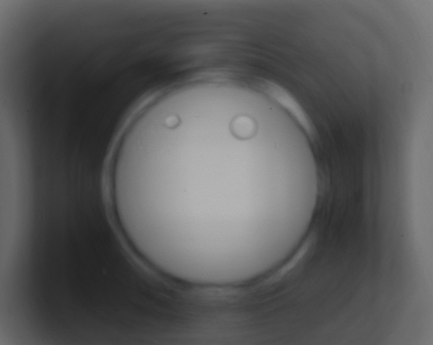 X0000101431090200807071000