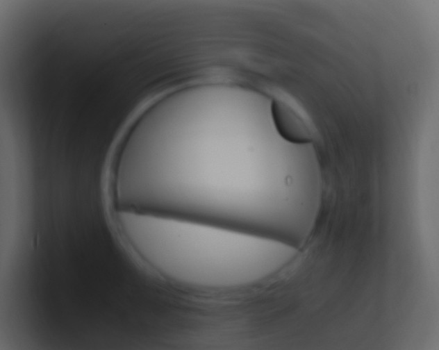 X0000101431091200807071000