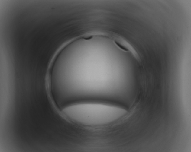 X0000101431092200807071000