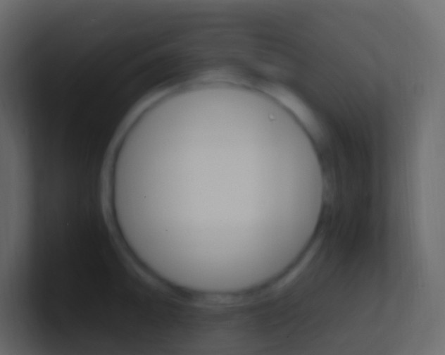 X0000101431094200807071000