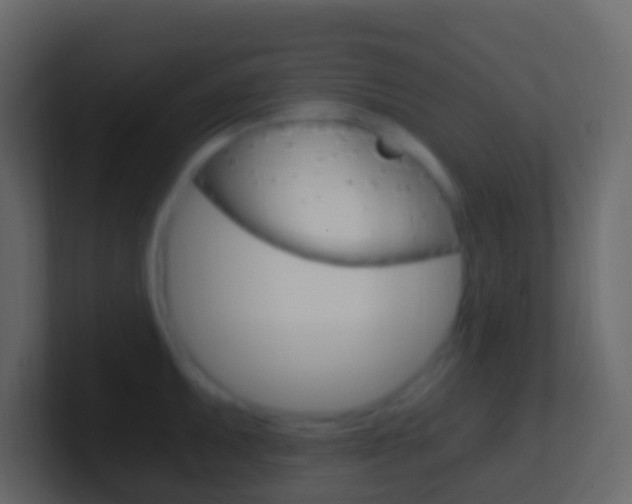 X0000101431095200807071000
