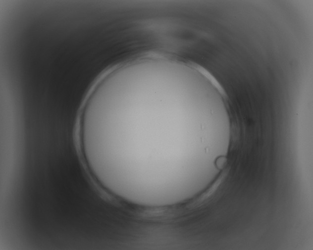 X0000101431098200807071000