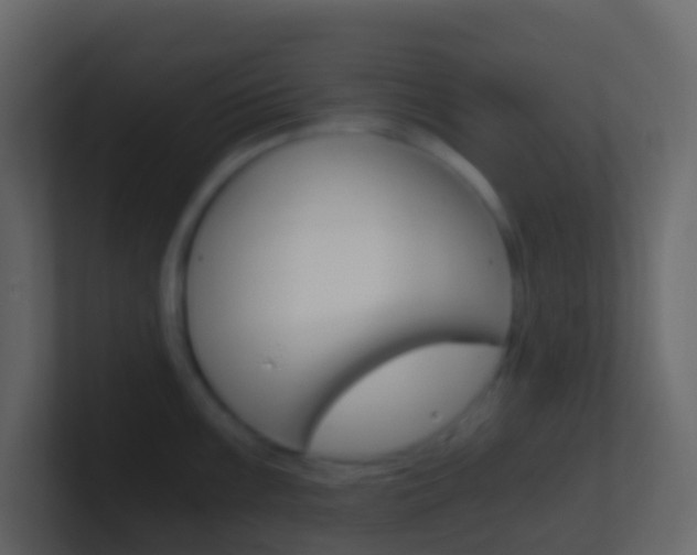 X0000101431099200807071000