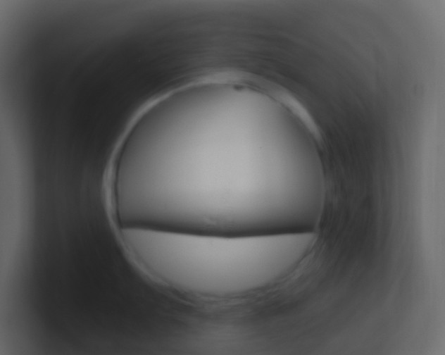 X0000101431103200807071000