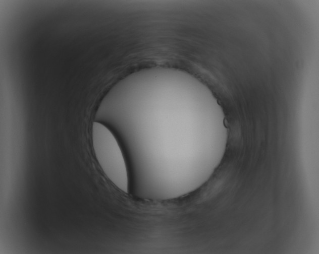 X0000101431105200807070959