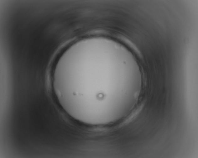 X0000101431117200807070959
