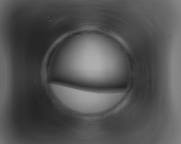 X0000101431118200807070959