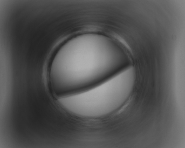 X0000101431119200807070959