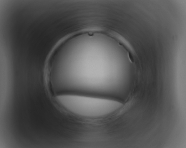 X0000101431124200807070959