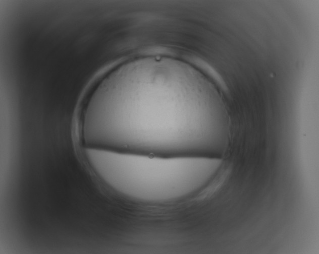 X0000101431125200807070959