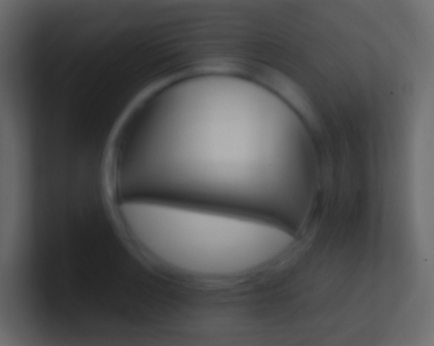X0000101431132200807070959