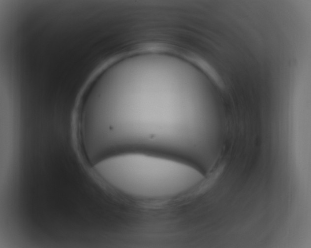 X0000101431134200807070959