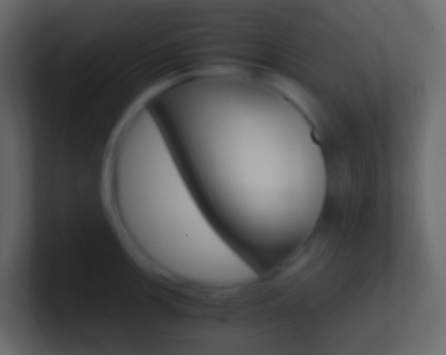 X0000101431139200807070959