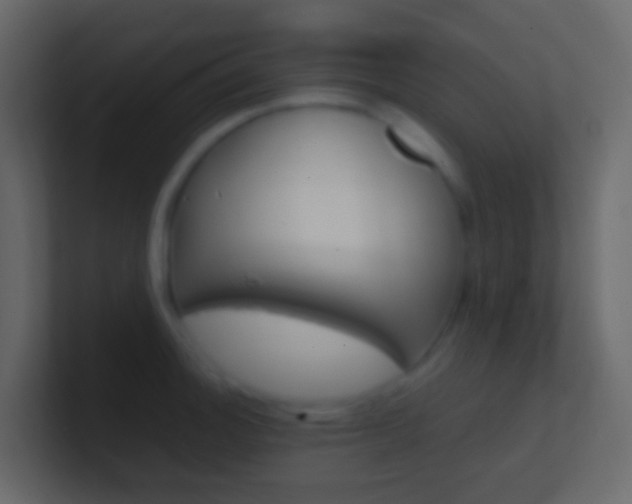 X0000101431140200807070959