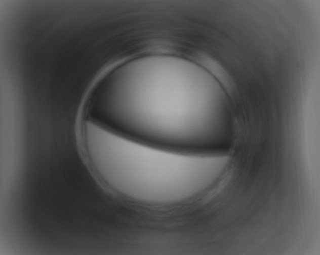 X0000101431141200807071000