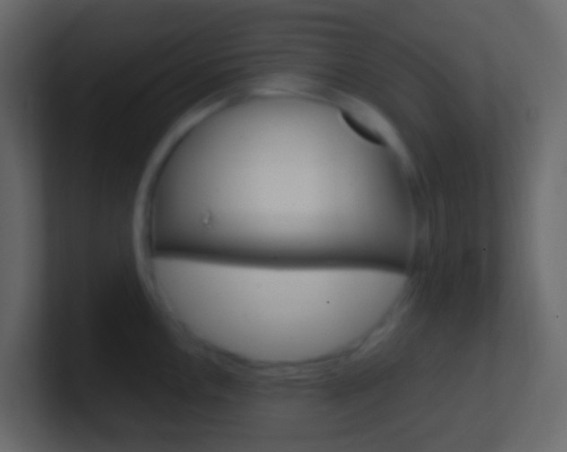 X0000101431146200807071000