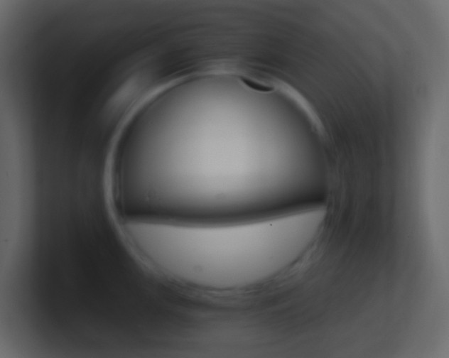 X0000101431147200807071000