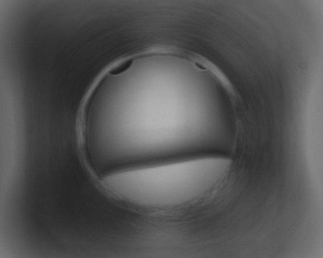 X0000101431148200807071000