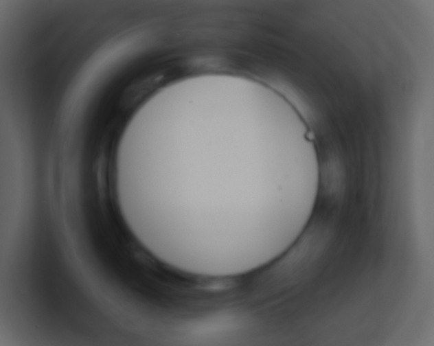 X0000101431150200807071000
