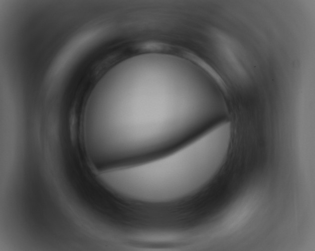 X0000101431151200807071000