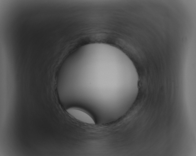 X0000101431153200807070959