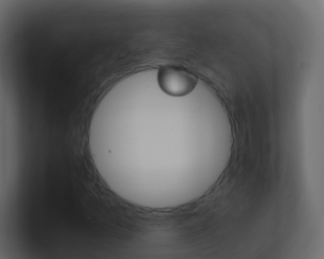 X0000101431157200807070959