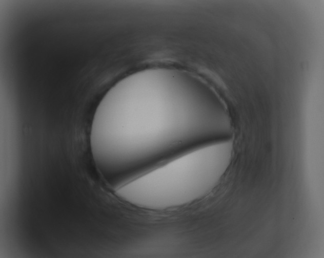 X0000101431159200807070959