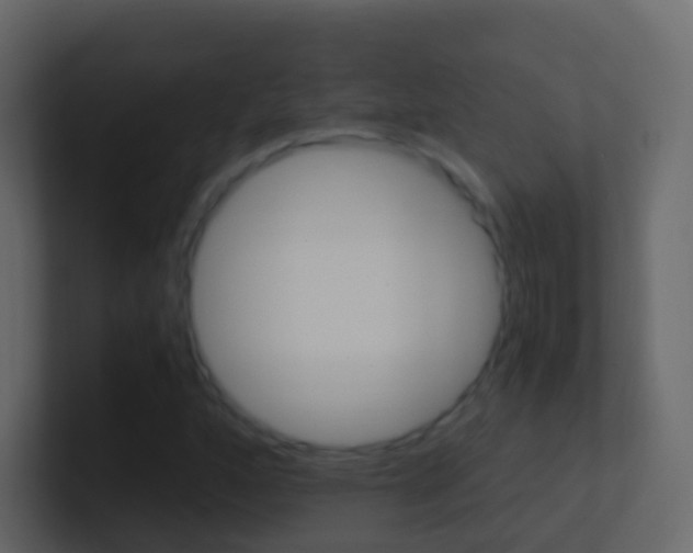 X0000101431160200807070959