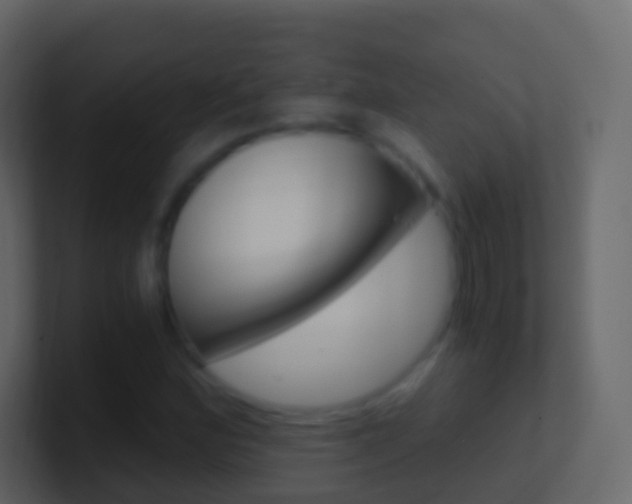 X0000101431164200807070959
