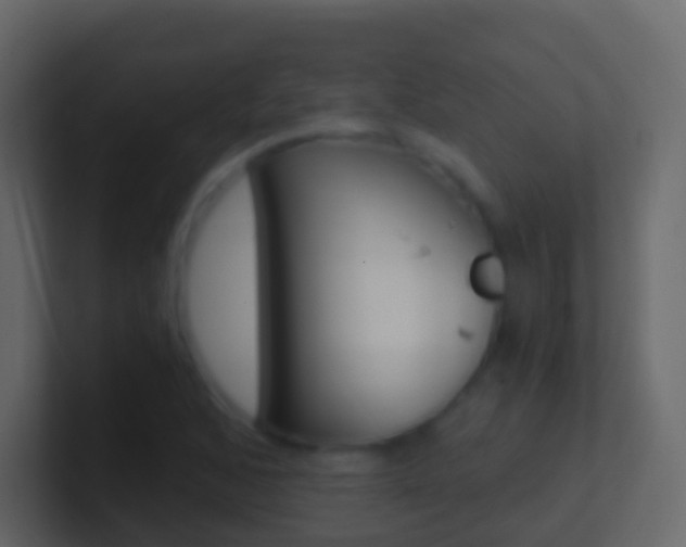 X0000101431168200807070959