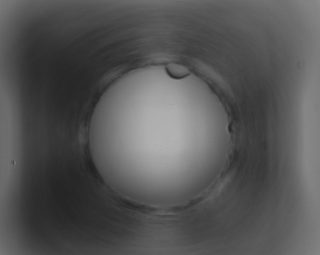 X0000101431169200807070959