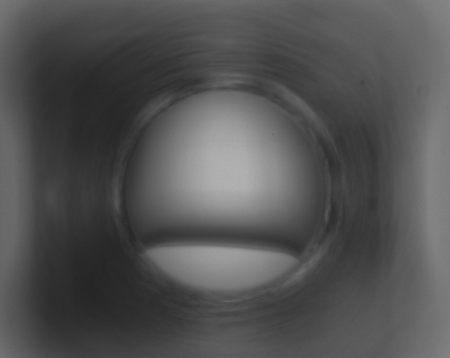 X0000101431177200807070959