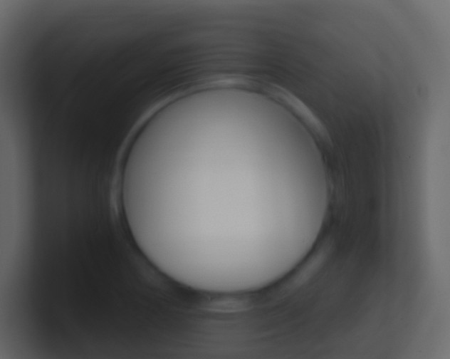 X0000101431178200807070959