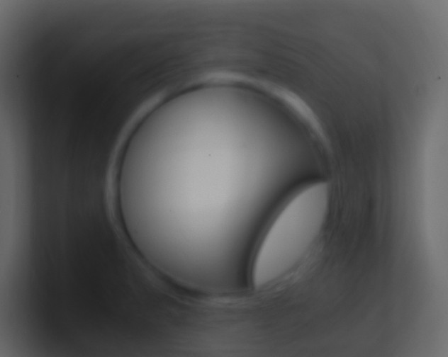 X0000101431183200807070959