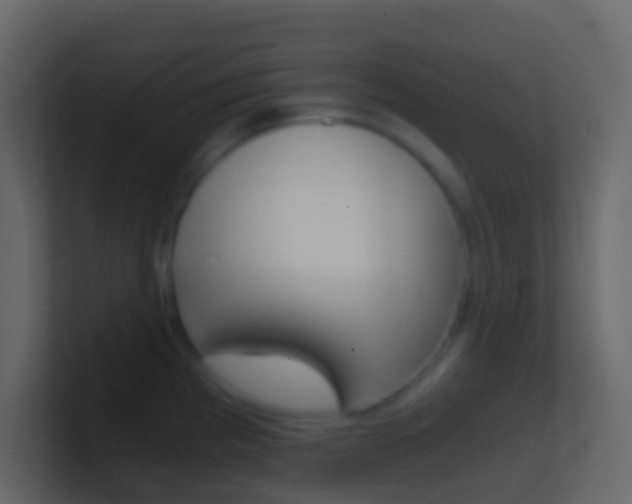 X0000101431193200807070958
