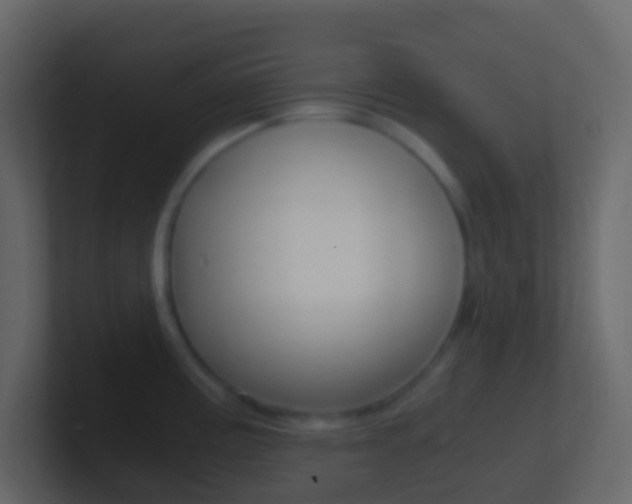X0000101431195200807070958