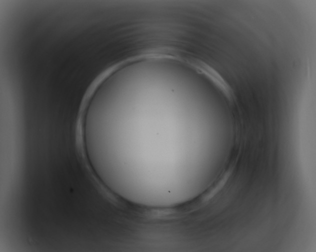 X0000101431196200807070958