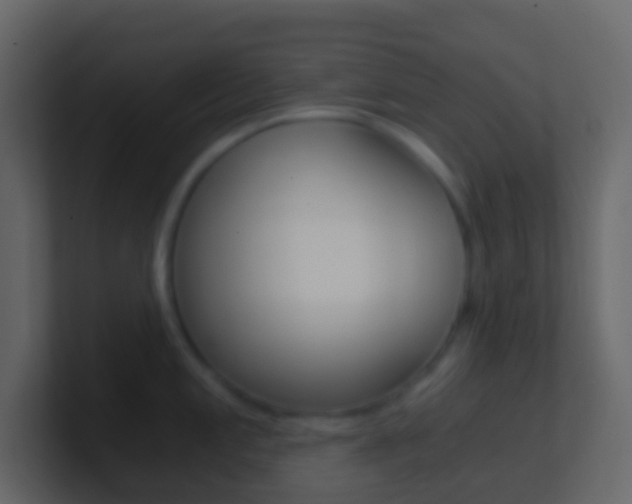 X0000101431197200807070958