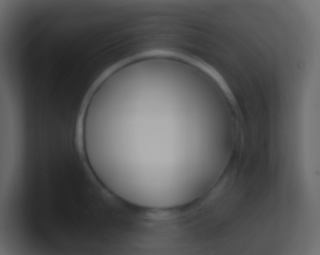 X0000101431199200807070958