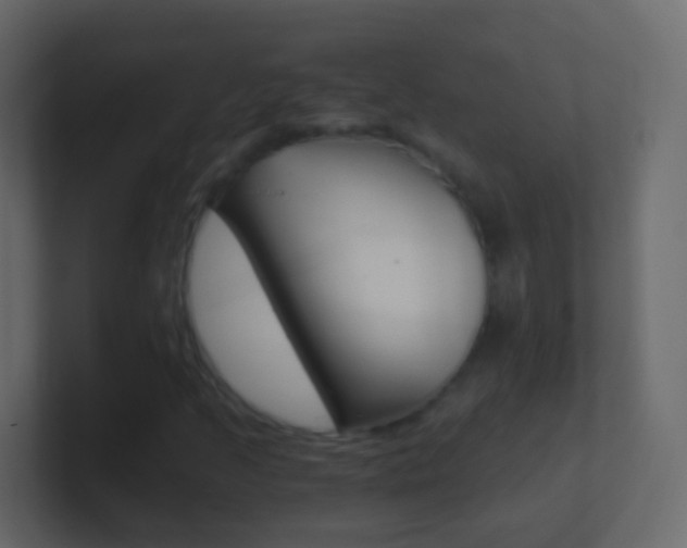 X0000101431205200807070958