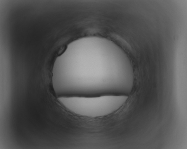 X0000101431207200807070958