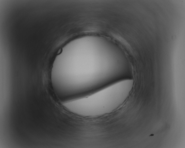 X0000101431208200807070958